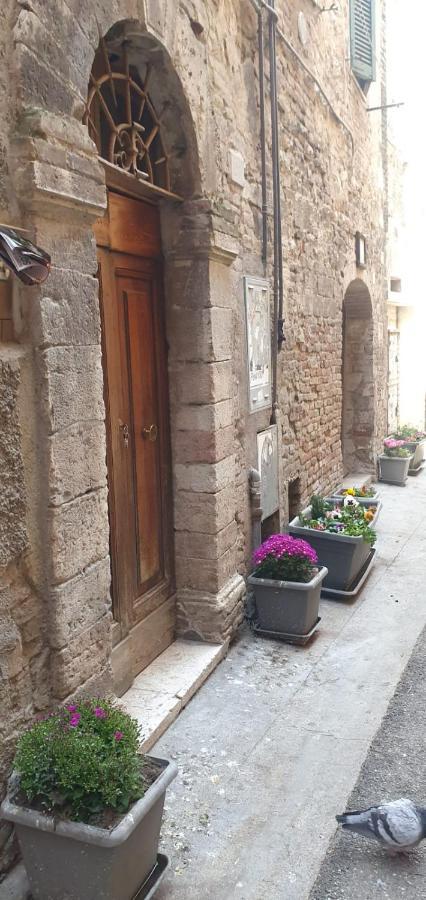 B&B Serena Pérouse Extérieur photo